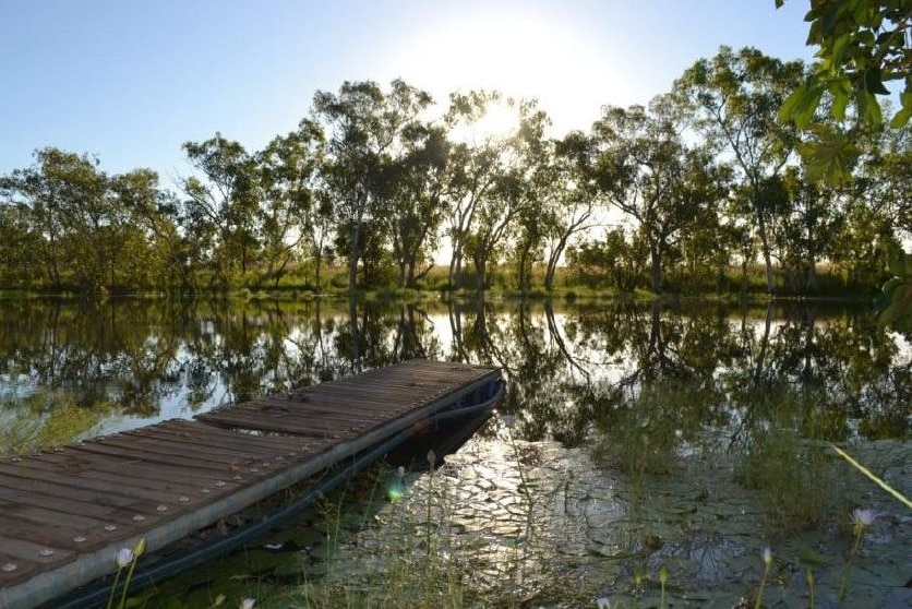 Small jetty in waterhole surrounded by trees