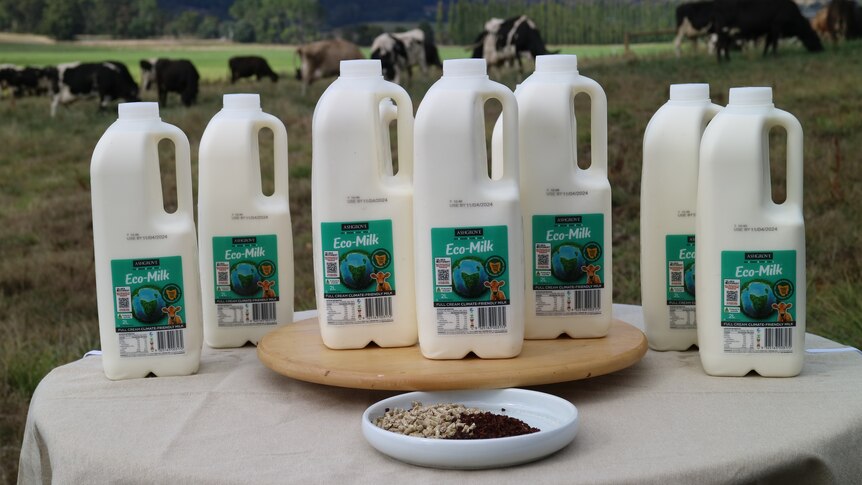 7 bottle of milk on a table in the middle of a paddock.