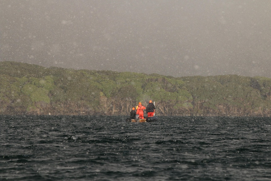 Blurred picture of three people in small vessel near island of trees, white markings like snow in picture