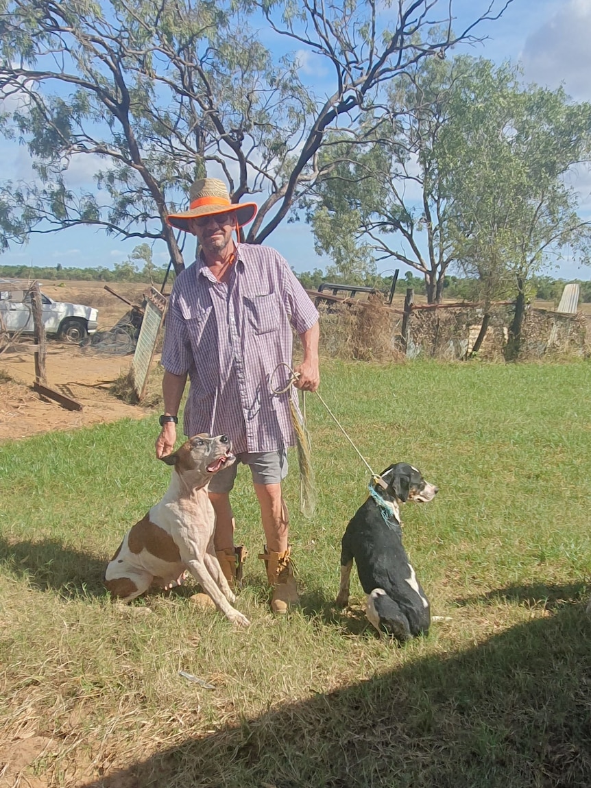 A man with a large hat holds two dogs on a leash in a grassy area