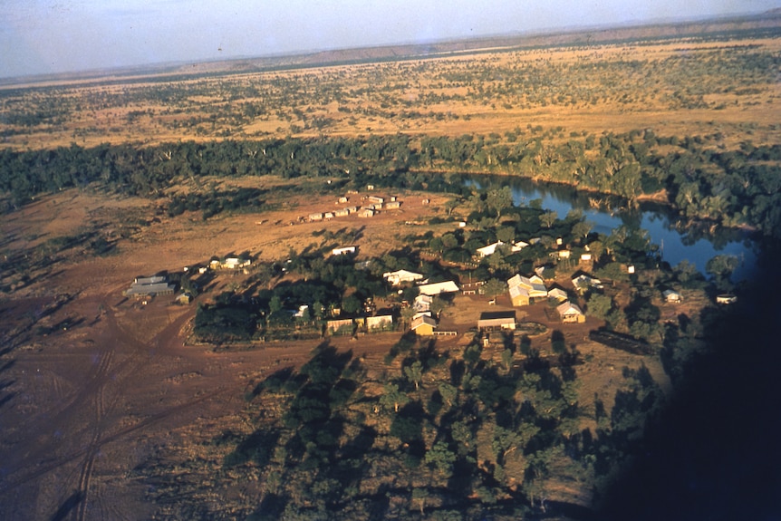 an aerial view of a cattle station