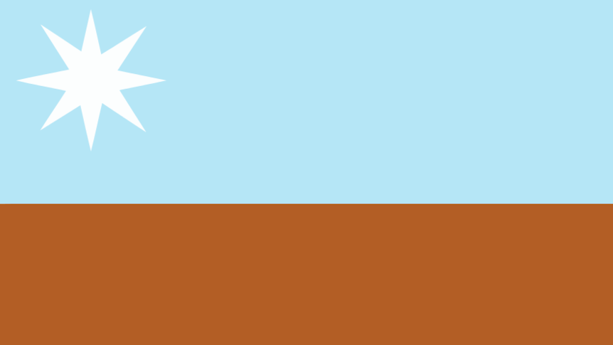 A blue and brown flag with a white star in the top left corner.