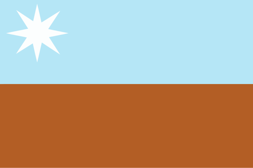 A blue and brown flag with a white star in the top left corner.