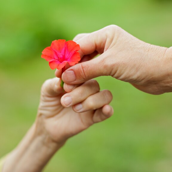 A person giving a flower to another person