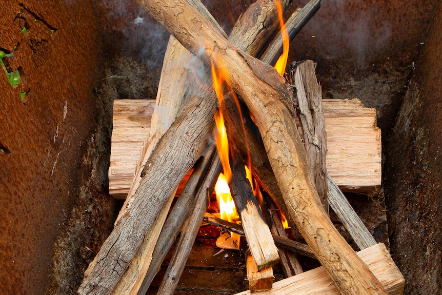 Crackling orange flame igniting around fresh sticks in a firepot.