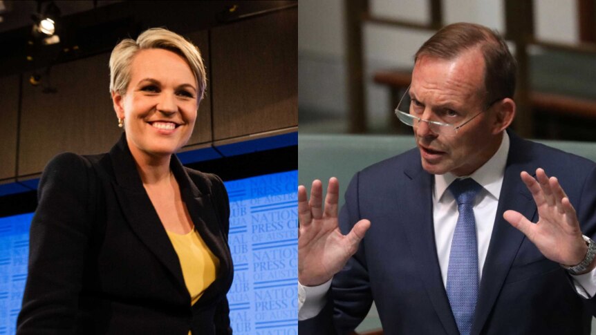A side-by-side image of Labor's Tanya Plibersek and Tony Abbott