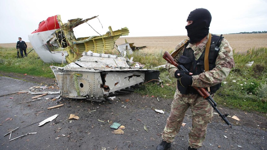 A pro-Russian separatist stands at the crash site of Malaysia Airlines flight MH17.