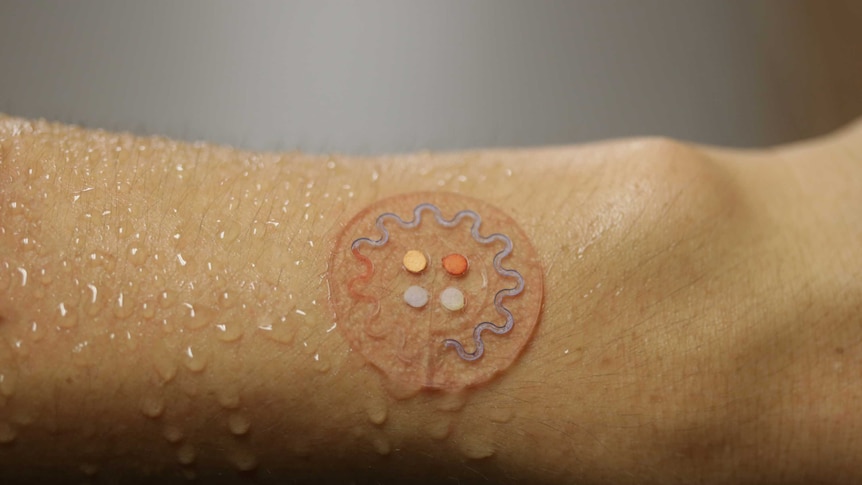 A transparent, circular device stuck on a person's sweaty skin