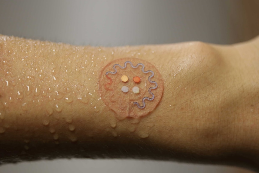A transparent, circular device stuck on a person's sweaty skin