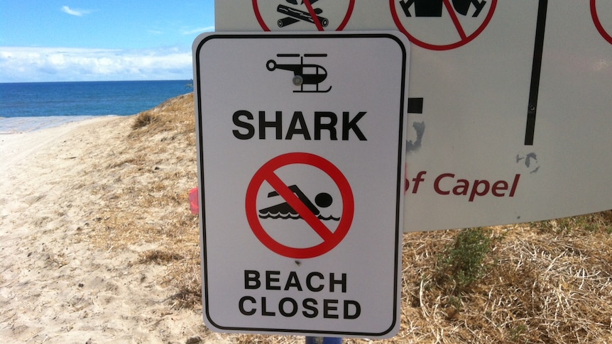 Busselton beach closed after shark attack