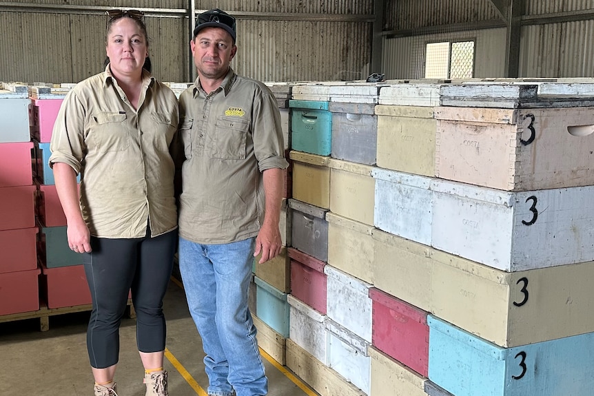 A beekeeper couple standing in amongst bee hives. 