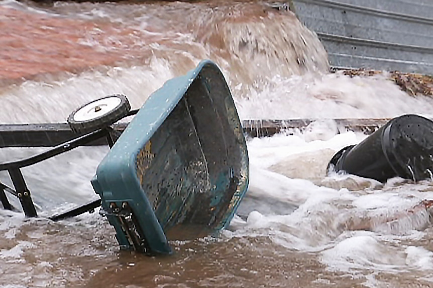 Water gushes through a backyard