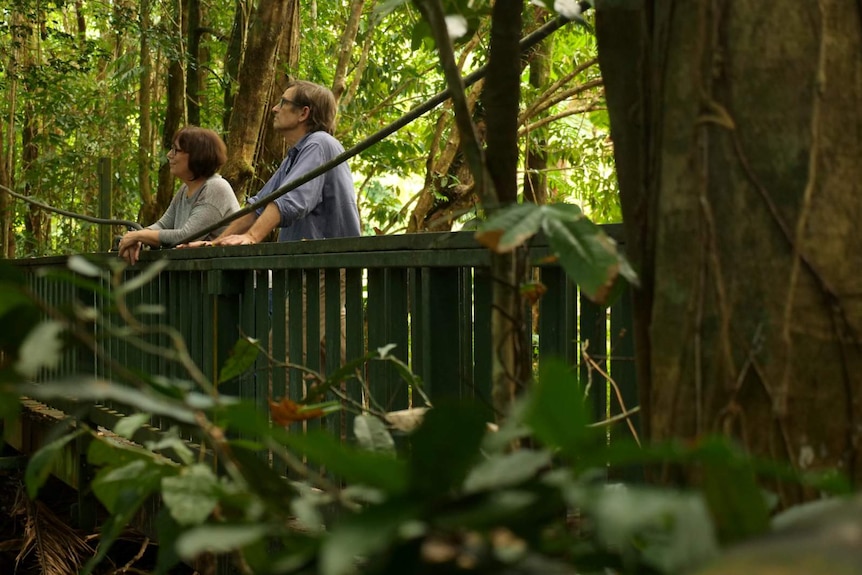 Two people stand in the Daintree forest in far north Queensland.