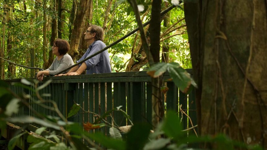 Two people stand in the Daintree forest in far north Queensland.