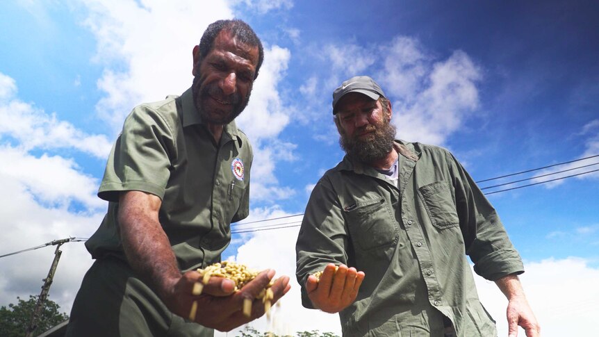 Dr Mark Kenny and coffee grower Bill Gardner stand over a pile of beans