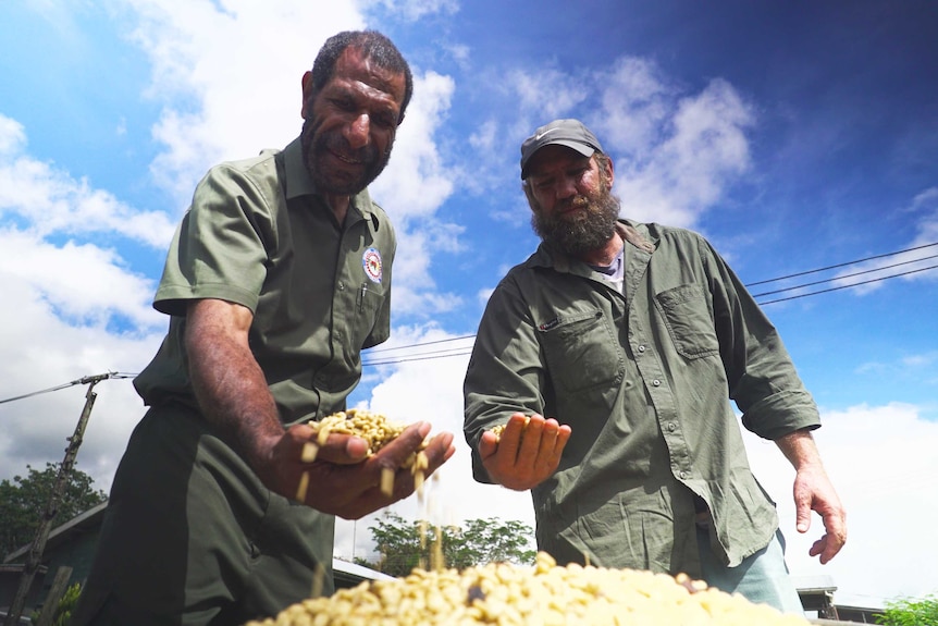 Dr Mark Kenny and coffee grower Bill Gardner stand over a pile of beans