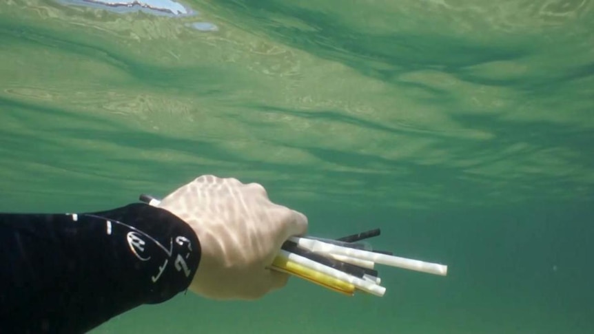 Hand holds plastic straws underwater