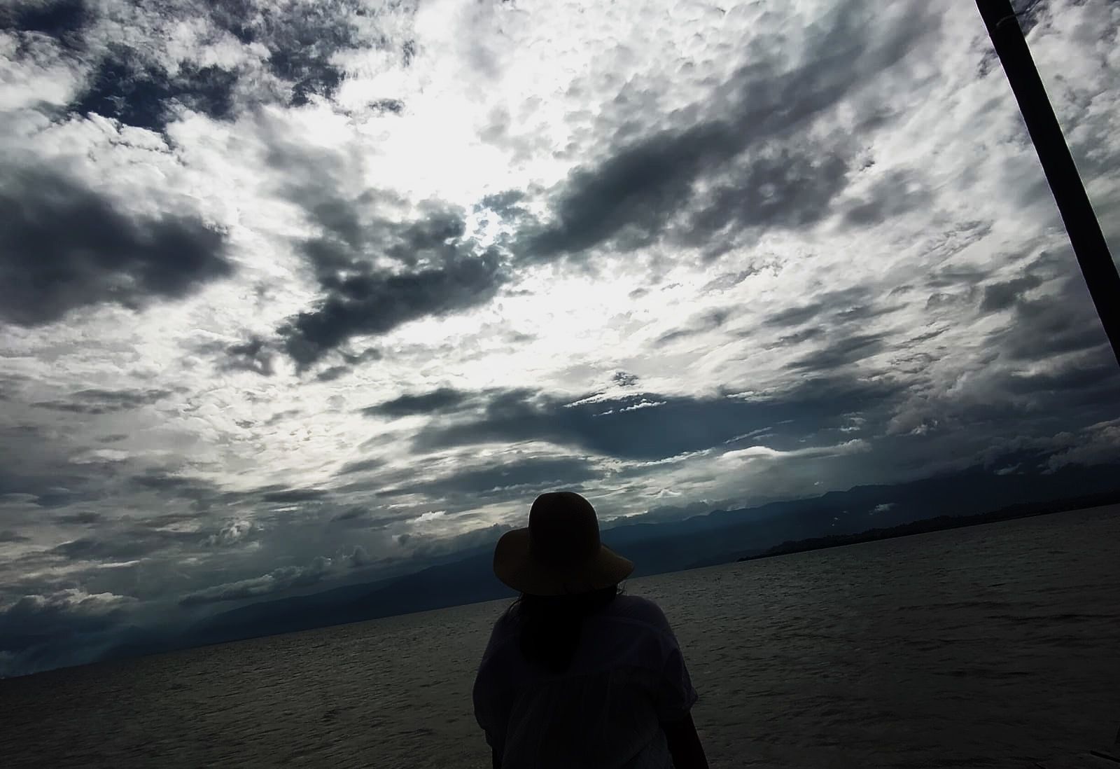 A girl pictured from the back.