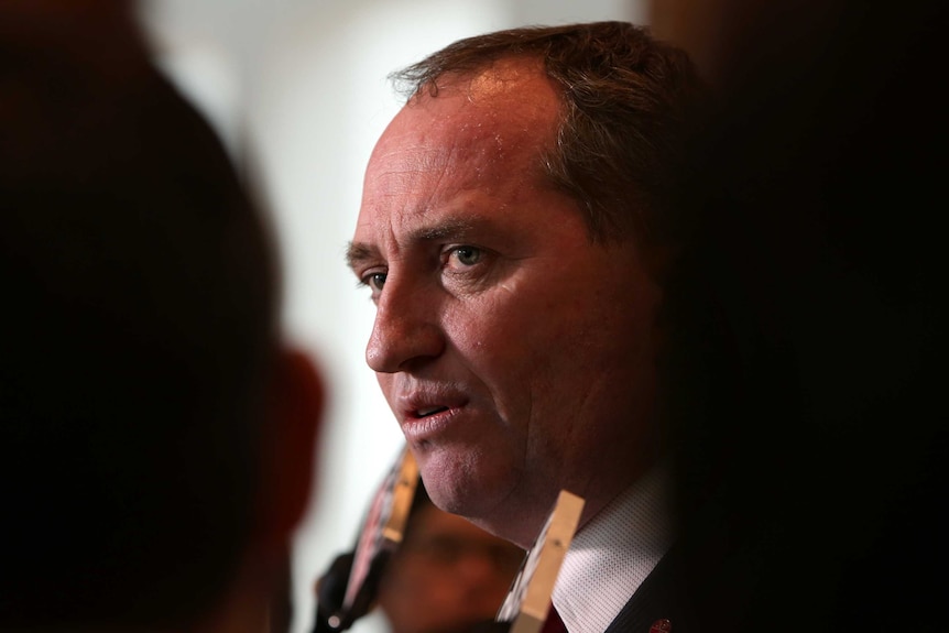 Senator Barnaby Joyce speaks to the media.