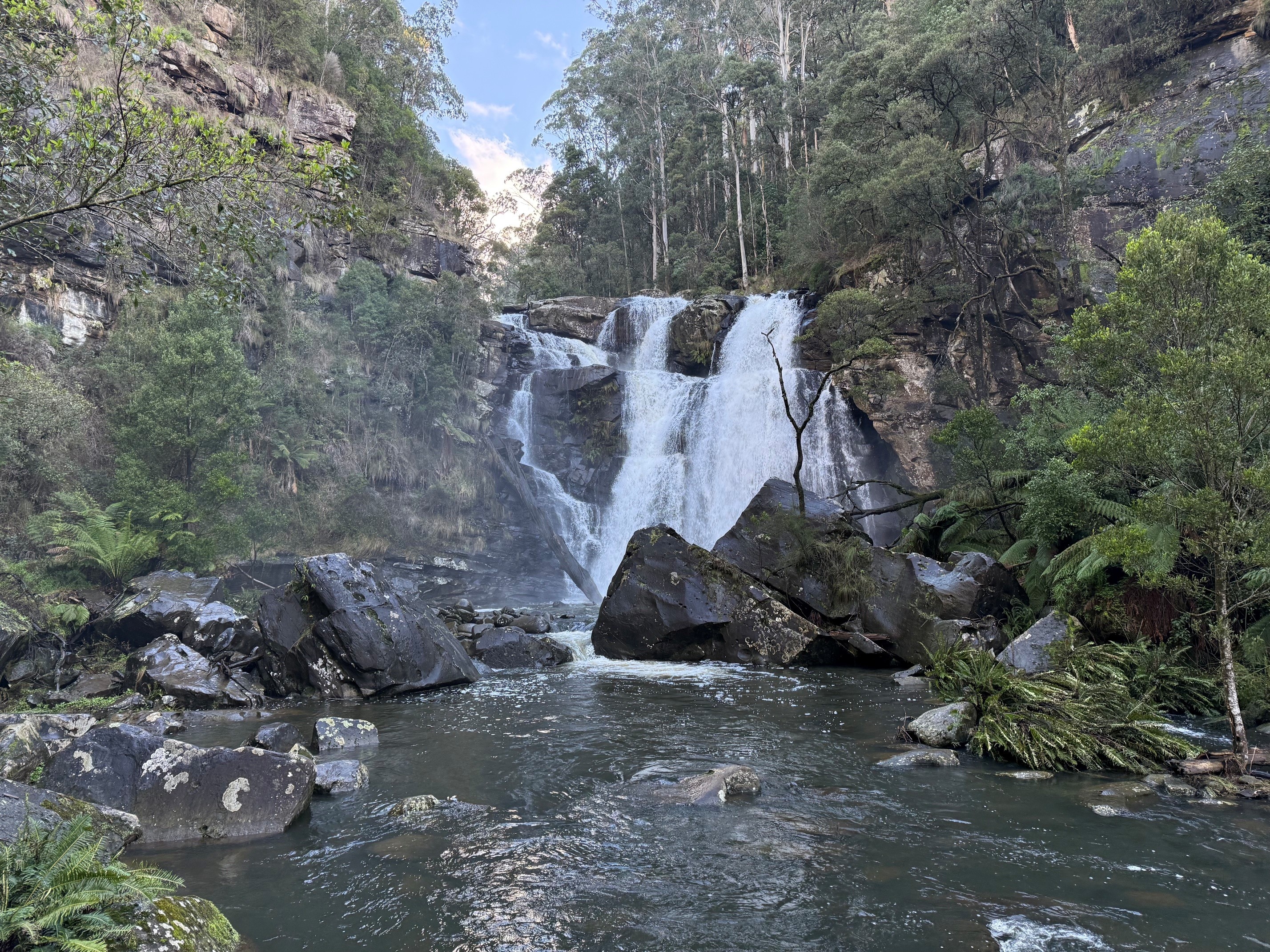 A waterfall with several main streams among rocks and tall trees.