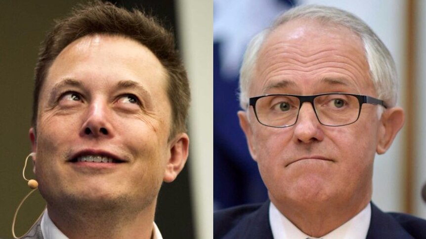 Headshots of Tesla CEO Elon Musk and Australian Prime Minister Malcolm Turnbull.