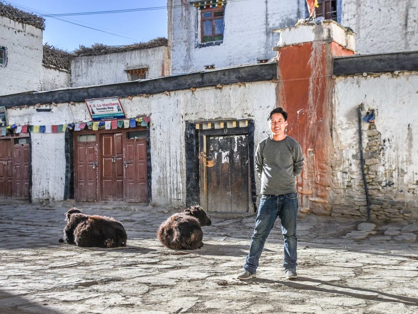 A smiling man stands in the street with two resting cows
