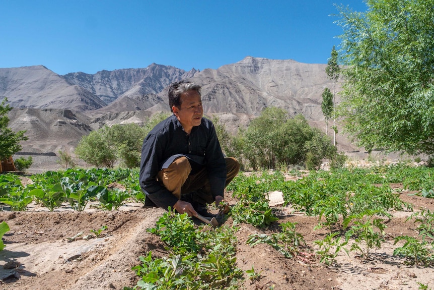 A man wearing a dark shirt and with grey hair squats on some land with a mountain behind him