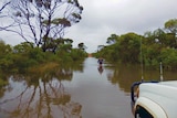 Paul Bell wades through floodwater on his Munglinup farm.