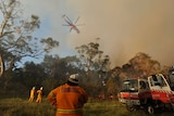 The Peats Ridge fire is out of control but no homes are threatened.