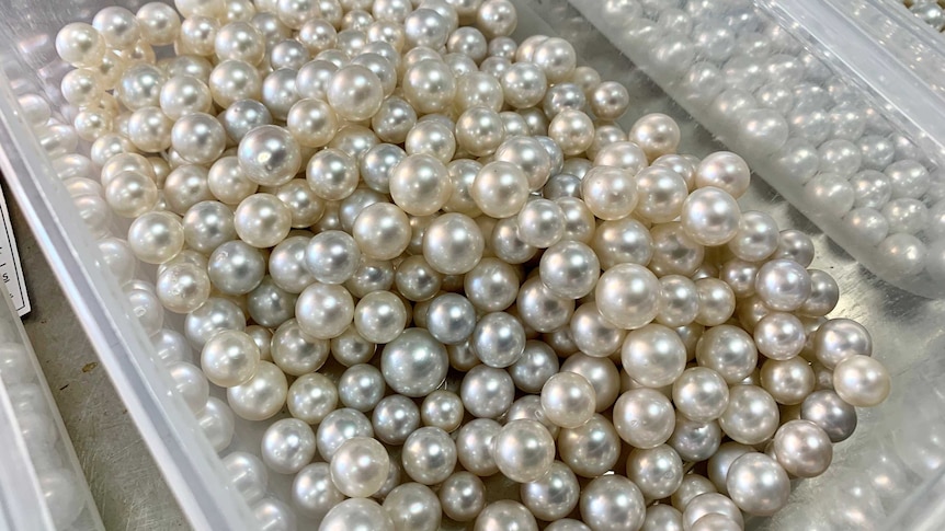 A container full of pearls sits on a bench