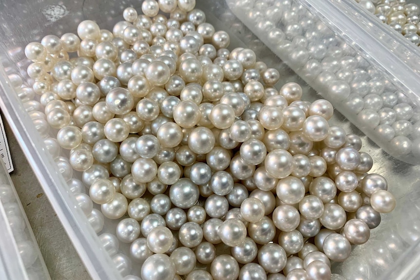 A container full of pearls sits on a bench