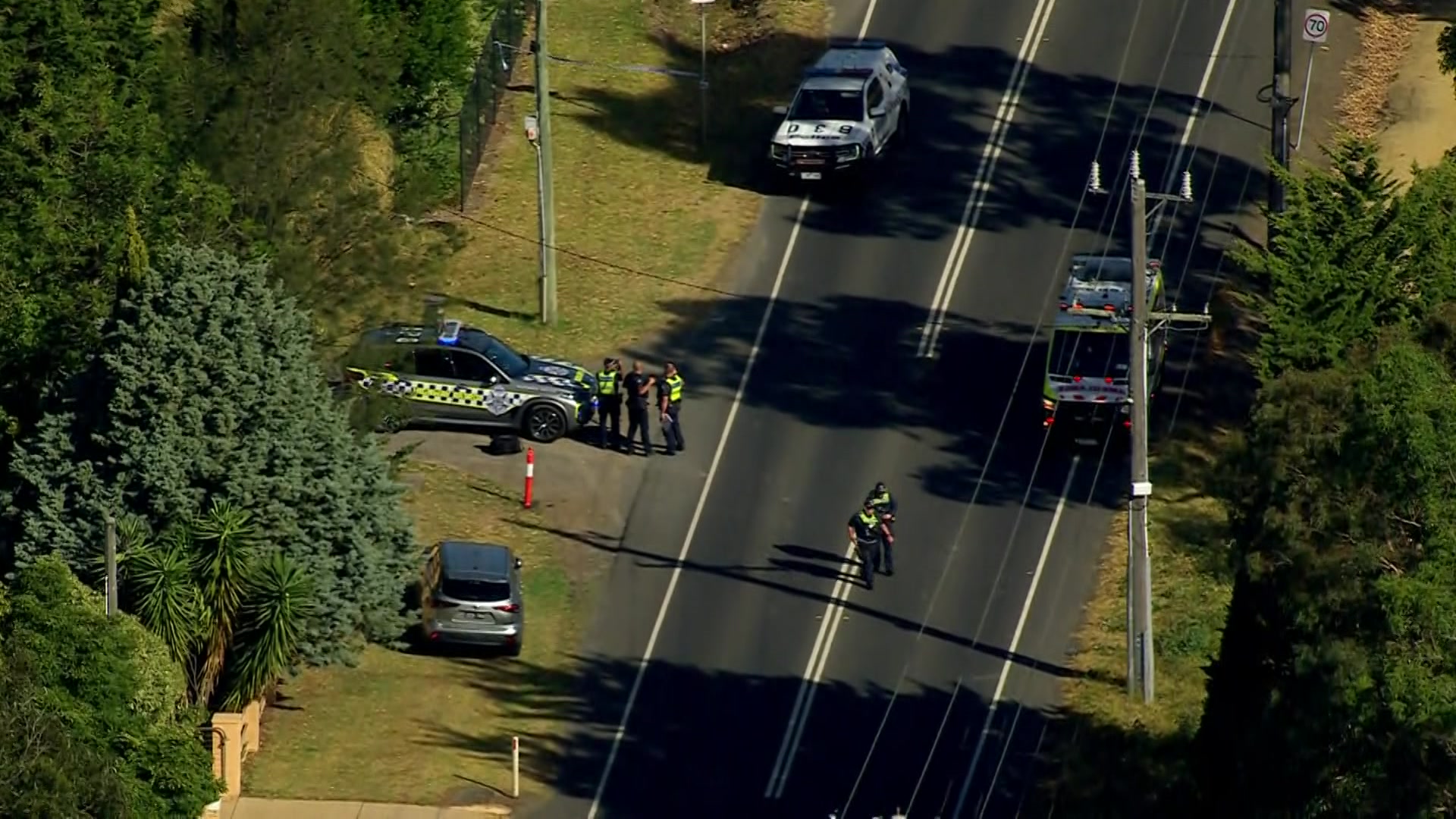 Los agentes de policía se encuentran cerca de un coche de policía, otros se encuentran en medio de una calle arbolada.