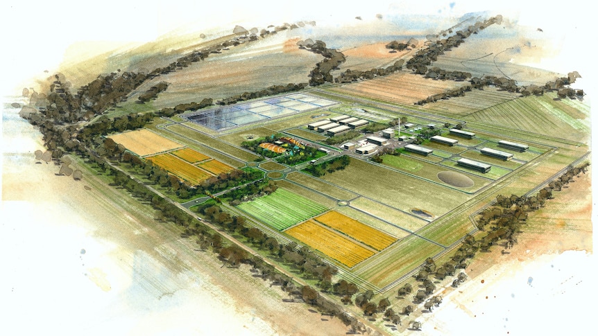 A coloured drawing of a series of buildings joined by roads in a green country setting.