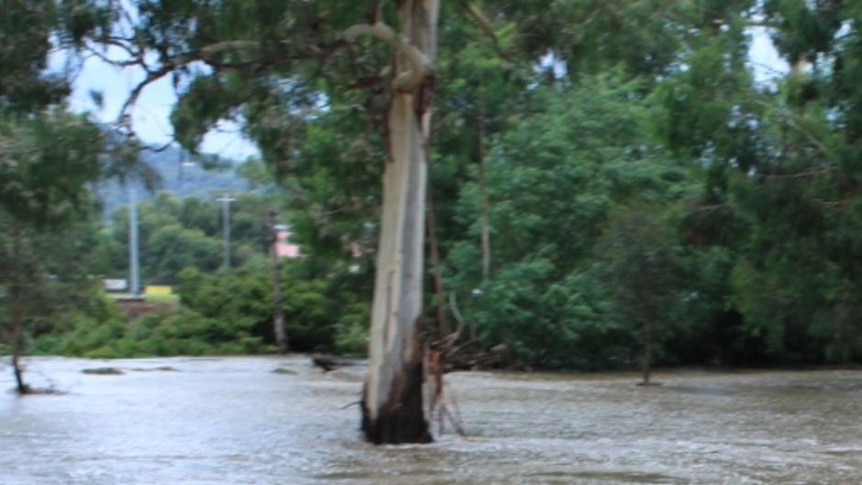 A man bodyboarding in the swolen Cardinia creek at Akoonah Park, Berwick