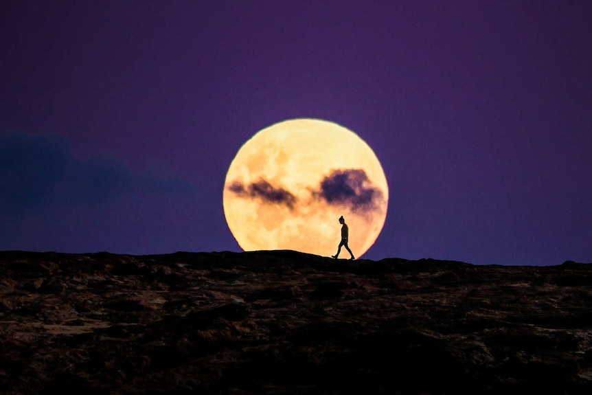 Moon on horizon with person walking.