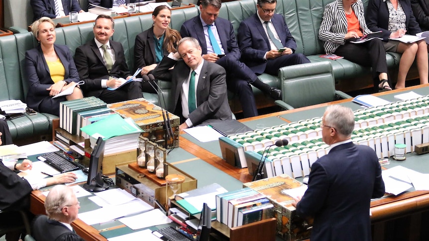 Bill Shorten listens to Malcolm Turnbull