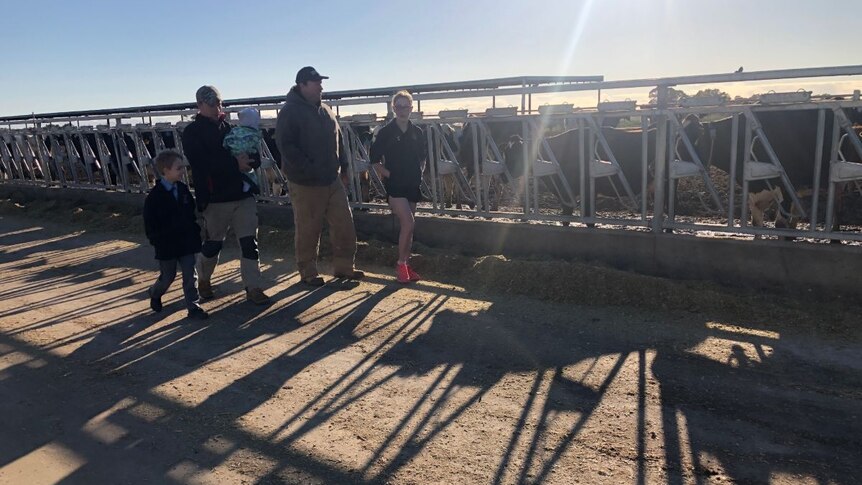 The Marshall family walk alongside their cows being fed.