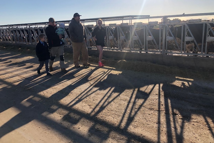 The Marshall family walk alongside their cows being fed.