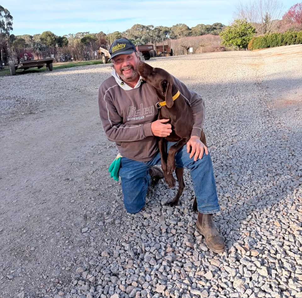 Farmer posts reward after dog shot at family nursery