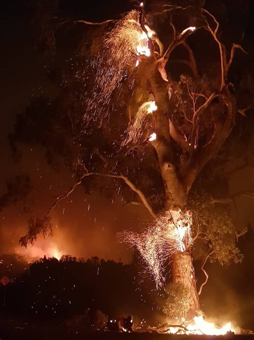Sparks fly from flames on a tree burning at night. In the background fire can be seen over a tree-lined ridge.