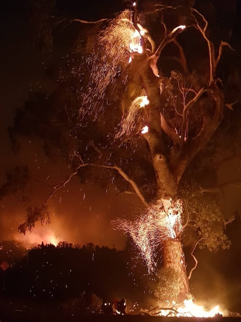 Sparks fly from flames on a tree burning at night. In the background fire can be seen over a tree-lined ridge.