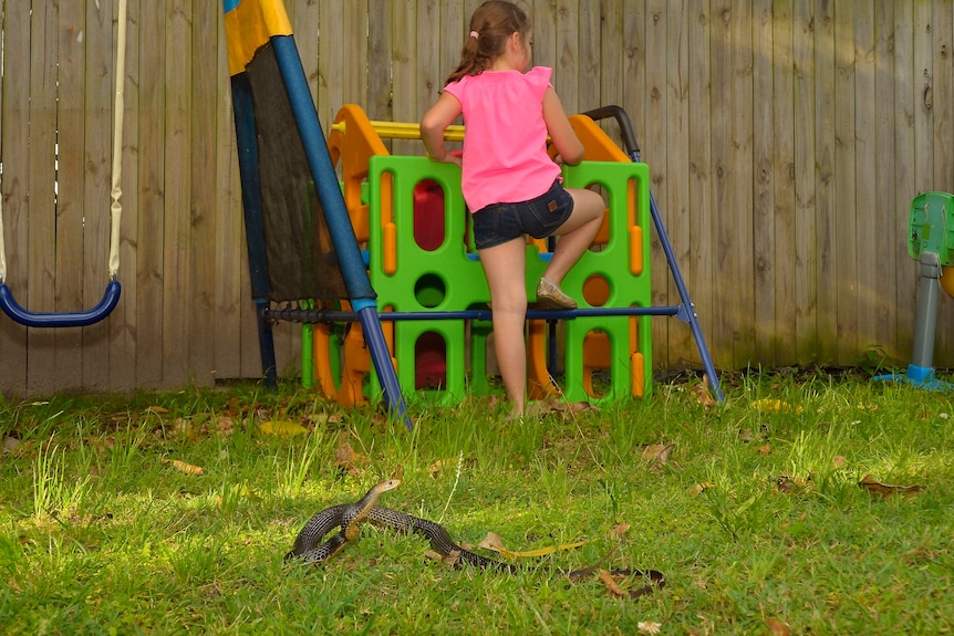 A child climbs on play equipment in a grassy backyard near a snake