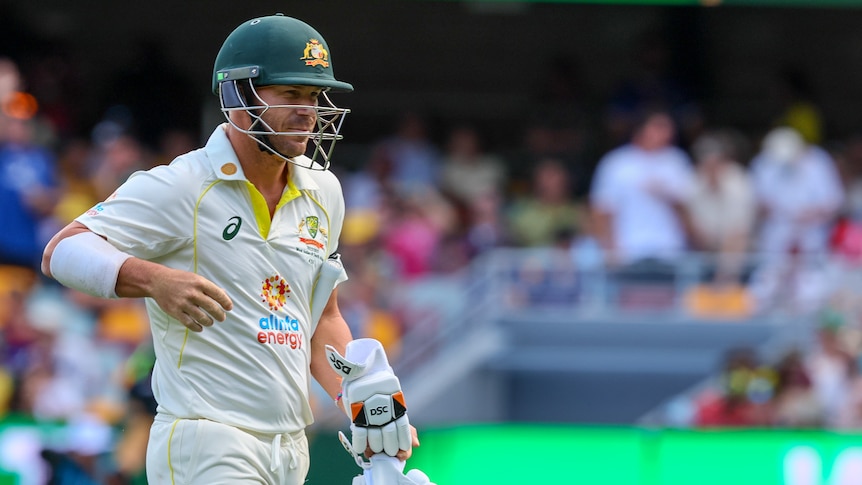 Can Dave Warner save his Test career on Boxing Day?