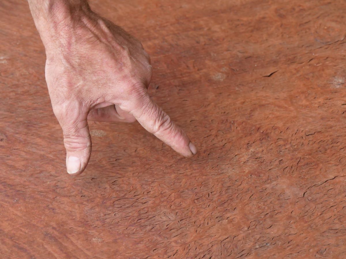 End of WA's native timber logging final blow for jarrah and marri