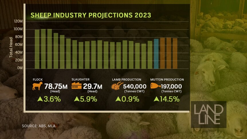 Sheep industry projection data