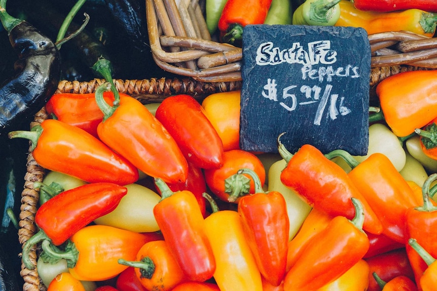 Chili peppers for sale at a market.