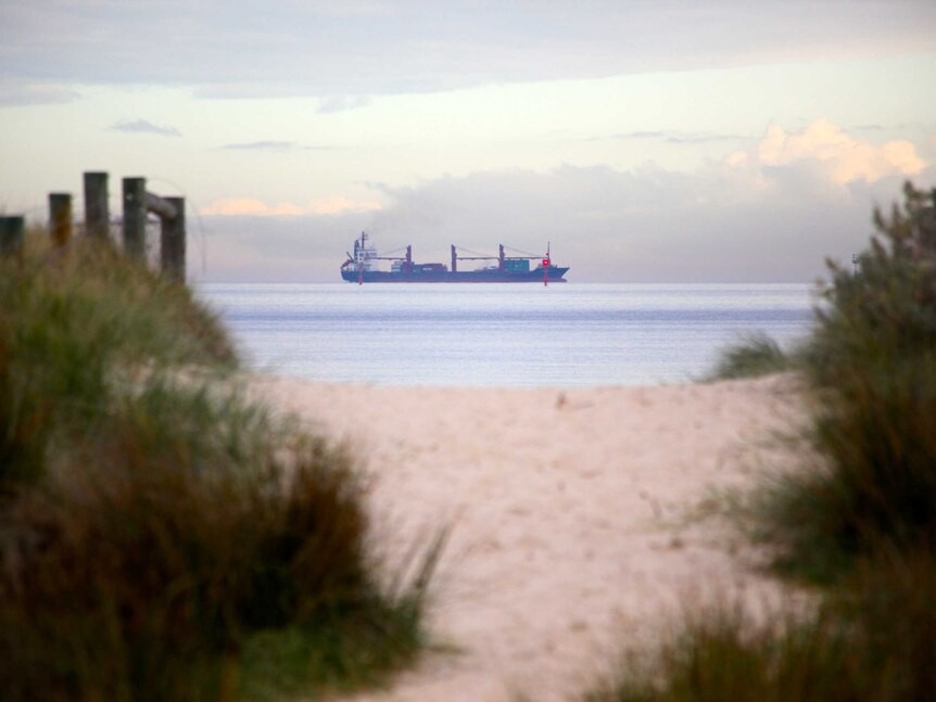 A container ship seen at a distance from the Melbourne foreshore.