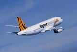 Tiger Airways aircraft in the sky during take-off.