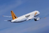 Tiger Airways aircraft in the sky during take-off.