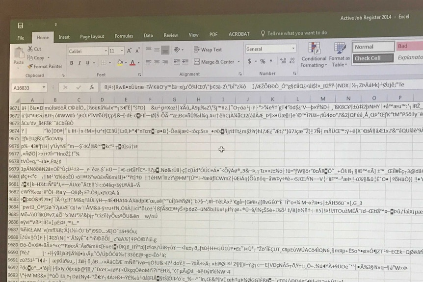 Encrypted excel screen